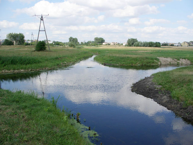 Wyjazd witeczny/ Wgrowiec - FOTO 1 - Przewodnik po Poznaniu, wycieczki po Poznaniu, Wielkopolsce, Polsce, Podroznik Poznan, pilot, przewodnicy